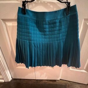 J. Crew Blue  Skater Skirt